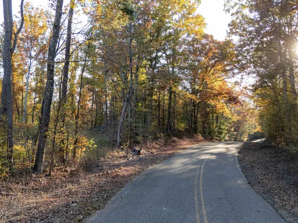 Gooch Store Rd, Hornsby, TN 38044