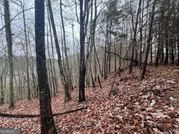 1452 Hanna Dr, Ranger, GA 30734