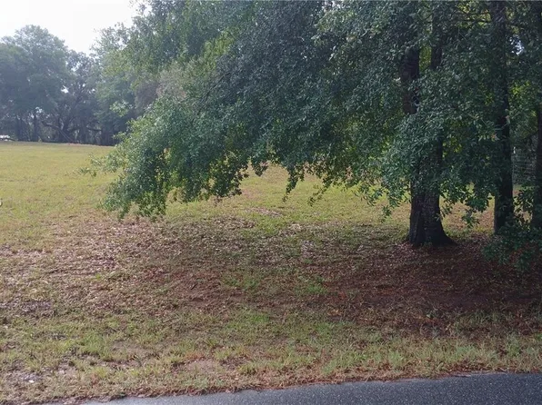 10233 S Appaloosa Ave, Floral City, FL 34436