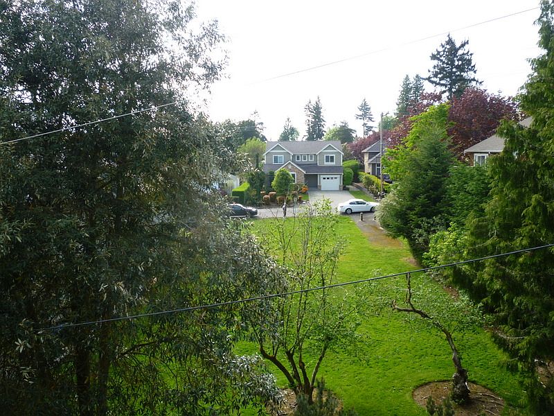 View from living room and kitchen