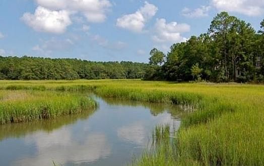 Rathall Creek at Grassy Cree