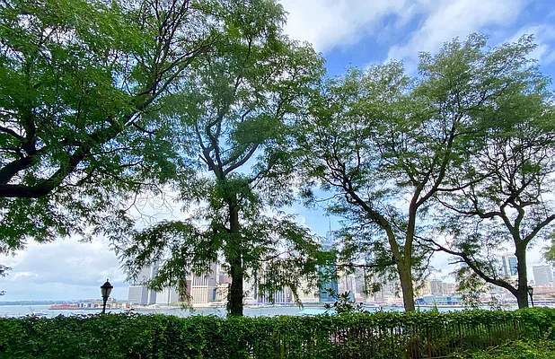 Rented by Douglas Elliman | media 5