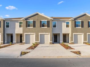 32859 Pez Landing Ln, Wesley Chapel, FL 33543