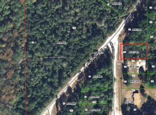 102 Heathton St, Georgetown, FL 32139
