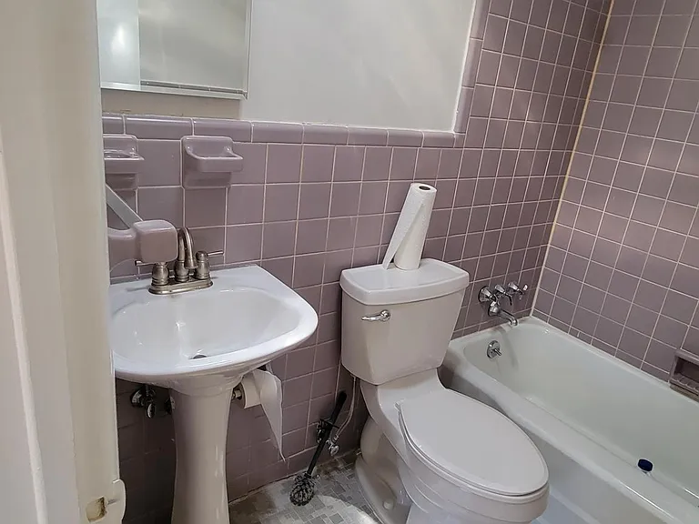 Hall Bath New shower head, cabinets & toliet hardware,