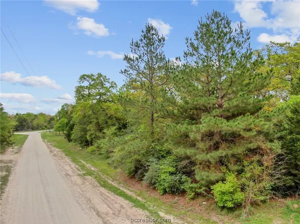 19831 Roy Hall Rd, Bedias, TX 77831