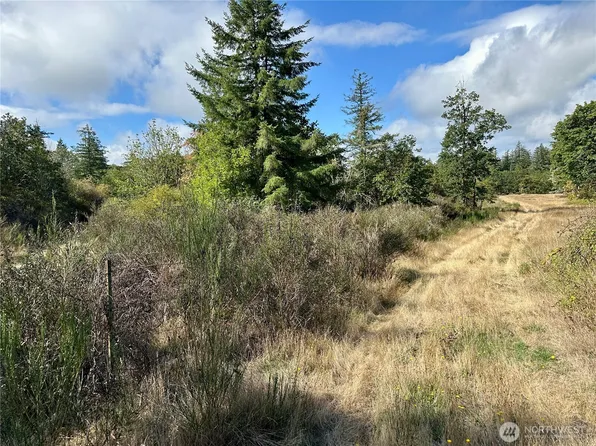 0 Dannie Womer Lane, Oakville, WA 98568