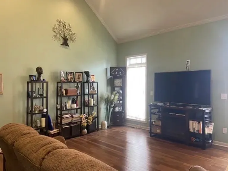 Living Room, Vaulted Cielings
