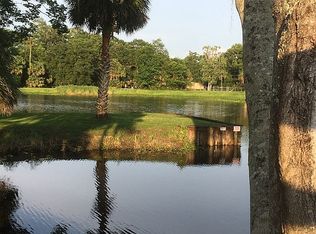 56236 Water Oak Rd, Astor, FL 32102