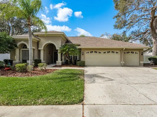 3321 Pattie Pl, Palm Harbor, FL 34685