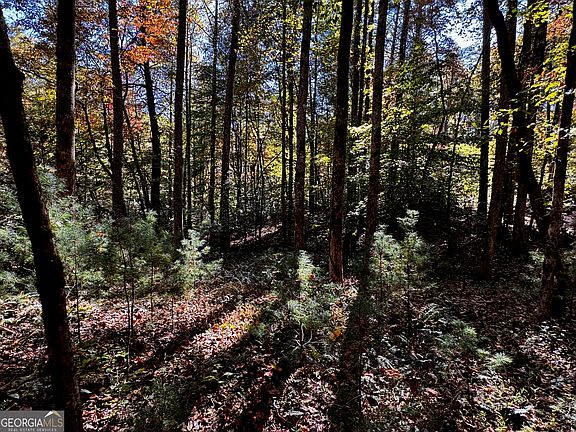 5th image of 6X Laurelwood