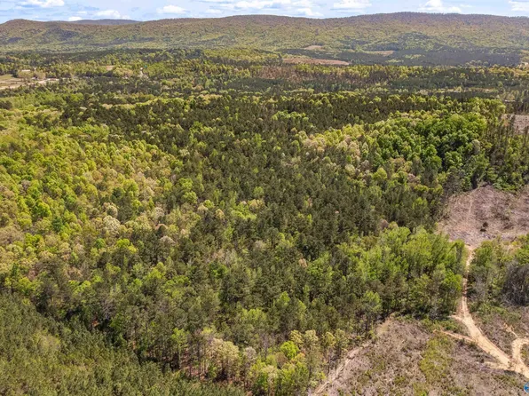 1 Pruitt Rd, Piedmont, AL 36272