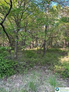 63 Oneida Trl, Albrightsville, PA, 18210