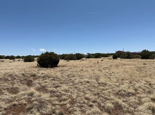 8481 Alpine Pl, Show Low, AZ 85901