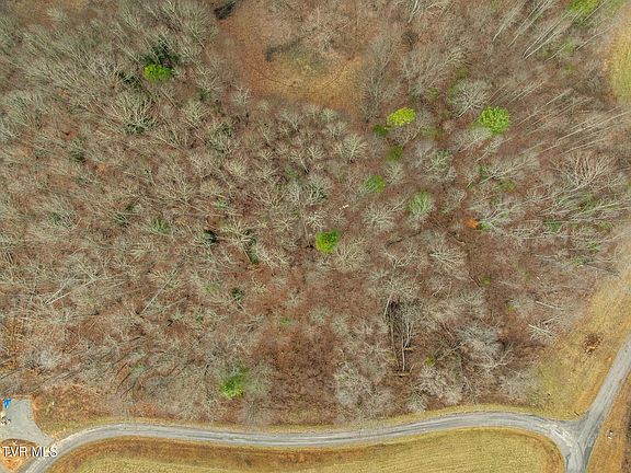 5th image of 0 Mountain Laurel Ln
