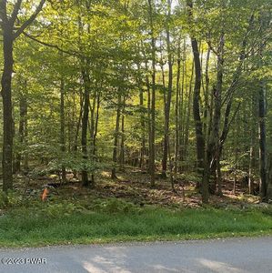 103 Fountain Dr, Newfoundland, PA, 18445