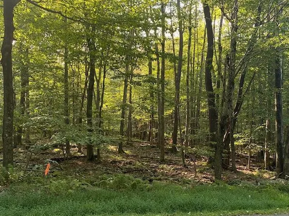 103 Fountain Dr, Newfoundland, PA 18445