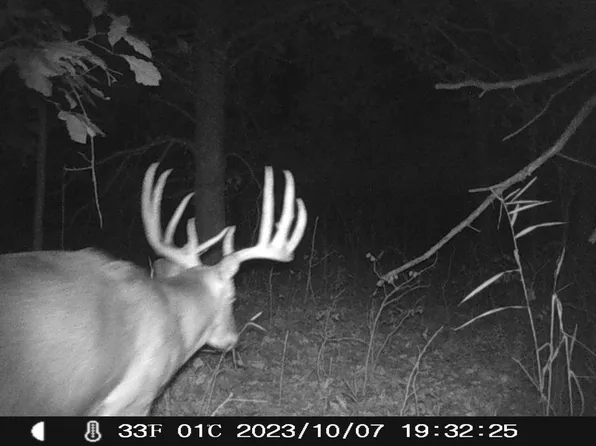 77+/- Acres County Road W, Union Center, WI 53962