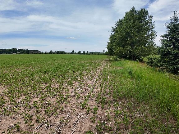 4th image of Lt1 PESHTIGO RIVER ROAD