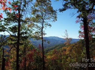 46 Still Branch Rd, Sylva, NC 28779