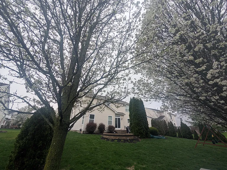 1701 Daffodil Pl — Photo 11