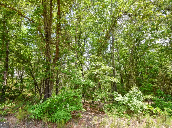 0 Skelton Rd Lot 12, Thomaston, GA 30286