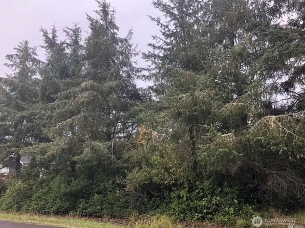 649 Weatherwax Loop NE, Ocean Shores, WA 98569
