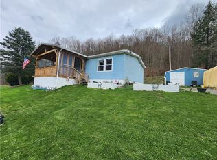 91 Cass Hill Rd, Candor, NY 13743