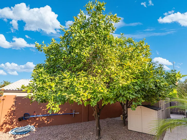 372 W Amoroso Dr — Photo 108