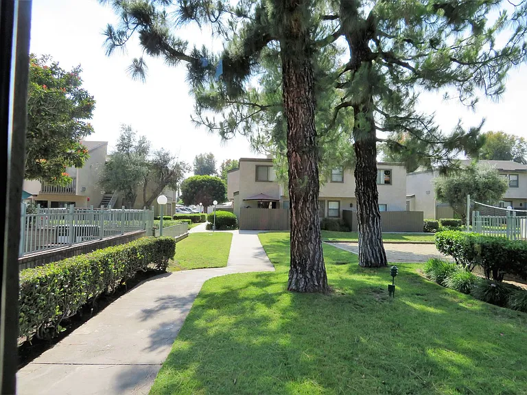Spring Tree Apartments — Photo 33