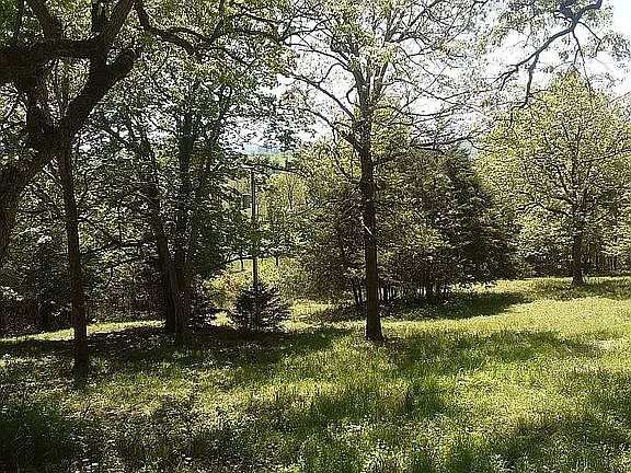 5th image of 169 Cedar Hill Ln