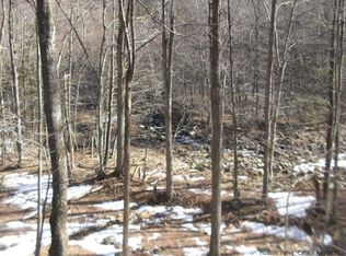 16 Shultis Lane Moonhaw Rd, Olive, NY 12494