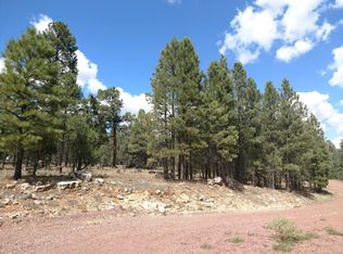 3973 Morning View Dr, Happy Jack, AZ 86024