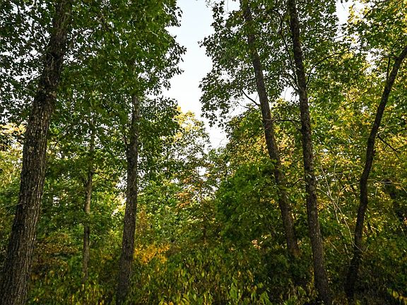 4th image of 0 Matney Hollow Rd