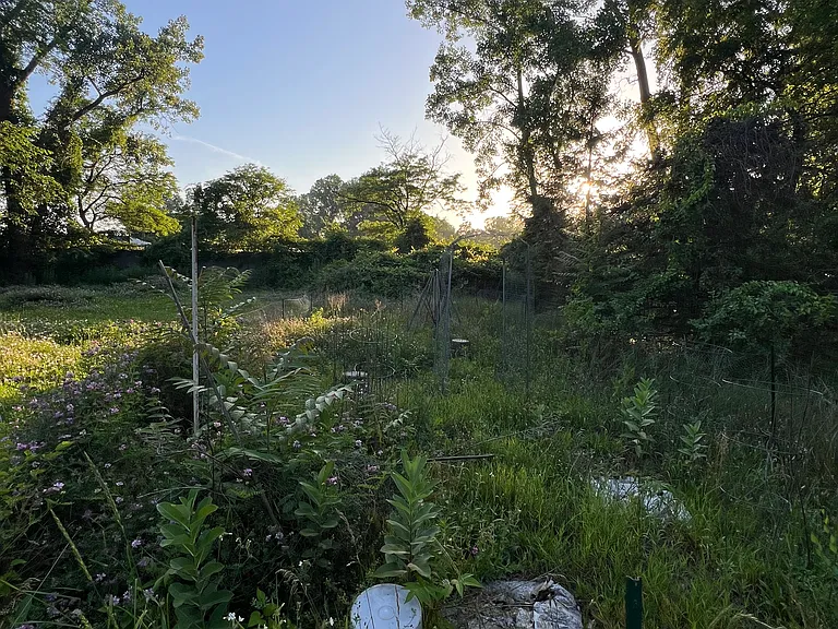 20835 Tuck Rd — Photo 37