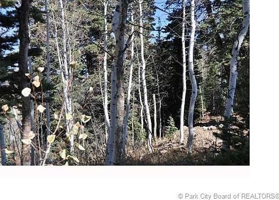 3rd image of 2369 S Pine Meadow Dr