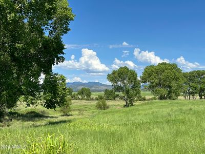 TBD San Rafael Valley Road, Patagonia, AZ, 85624