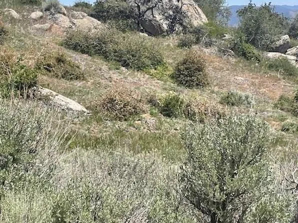 25260 Jacaranda Dr Lot 248, Tehachapi, CA 93561