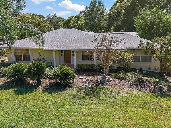 10004 Morningside Dr, Leesburg, FL 34788