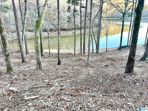 Southshore Dr #28, Wedowee, AL 36278