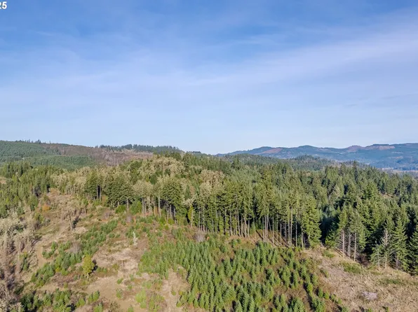 Holly Ave Lot 2, Cottage Grove, OR 97424