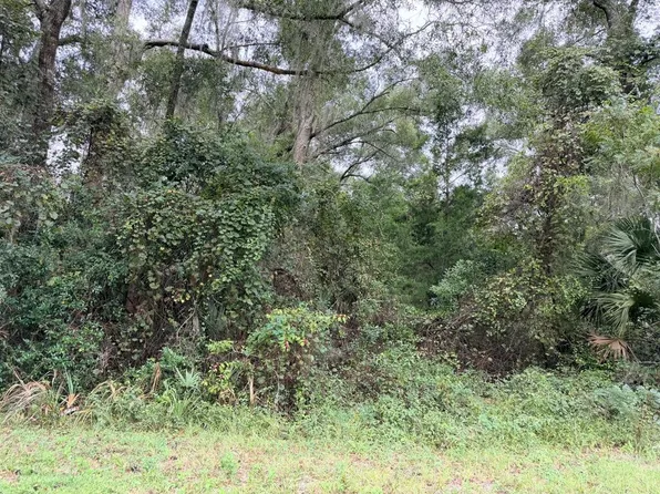 0 NW 66th Ter, Chiefland, FL 32626