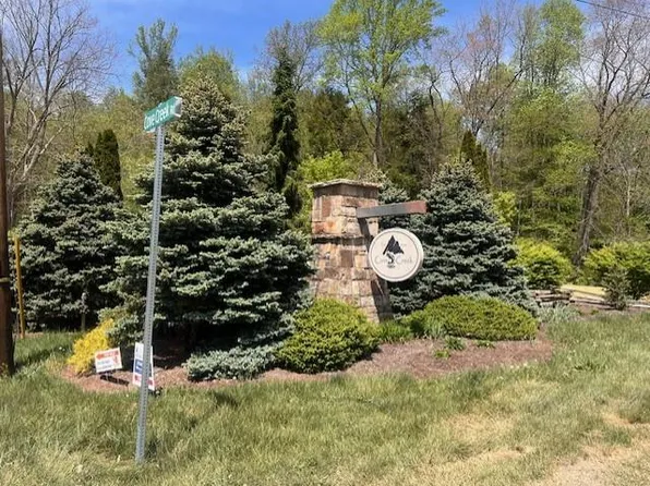 LOT 12 Cove Creek Rd, Bastian, VA 24314