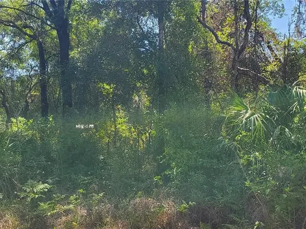 Doaks St Lot 23, New Pt Richey, FL 34654