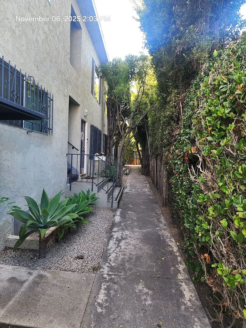 Greene — Photo 2