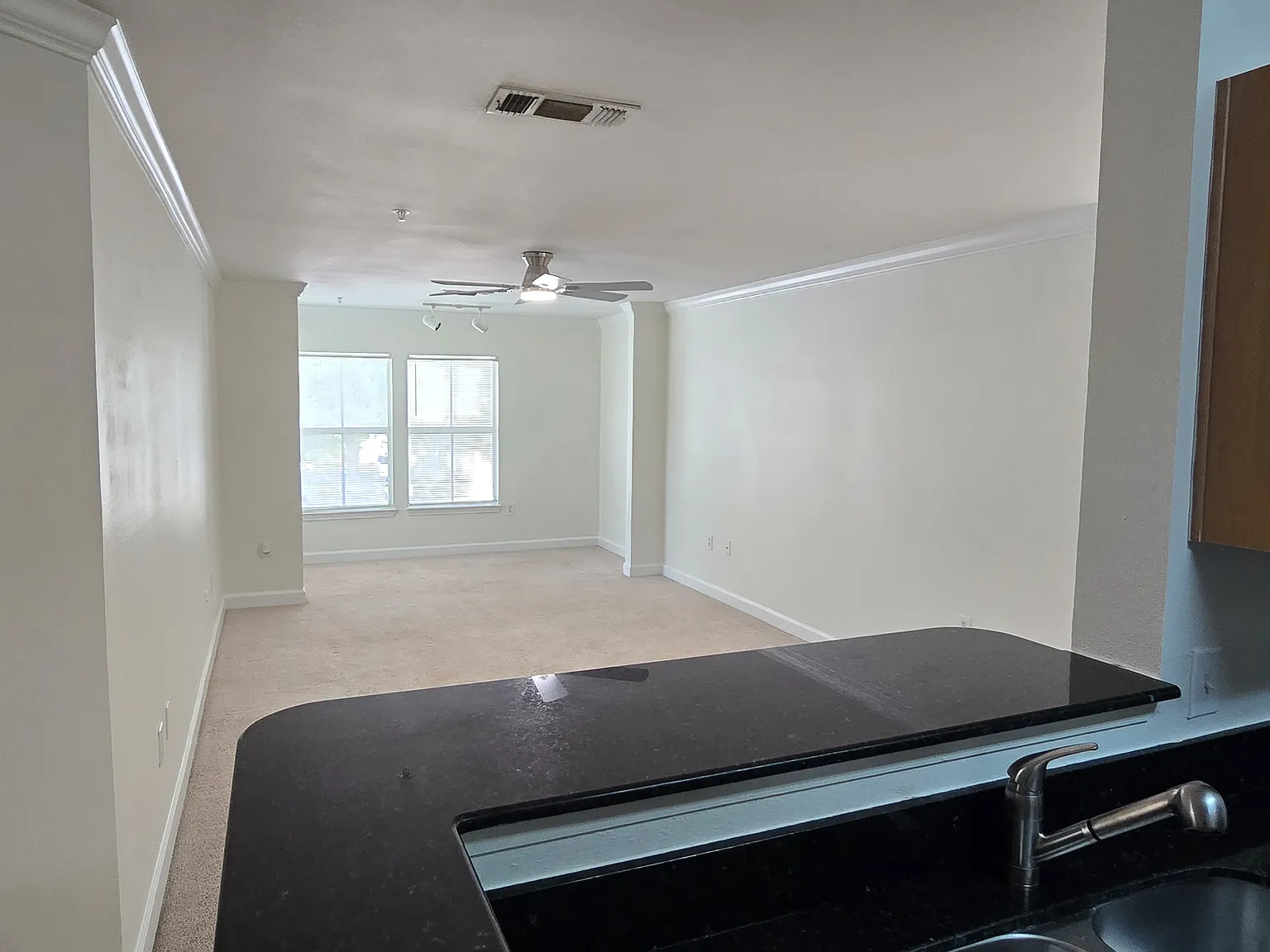 2 bed, 1110 sqft, $1,500 — Photo 4