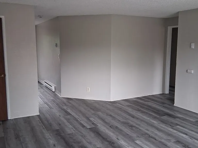 Rainier Vista — Photo 5