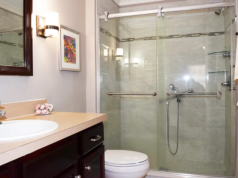 PRIMARY BATHROOM & WALK-IN SHOWER WITH GRAB BARS