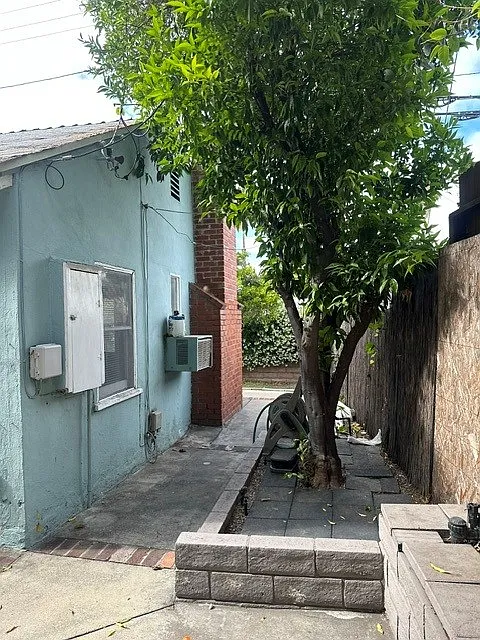 Side yard