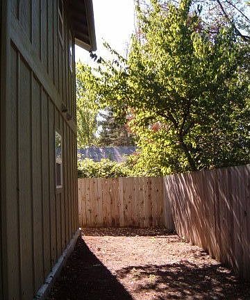 Side yard - low maintenance!